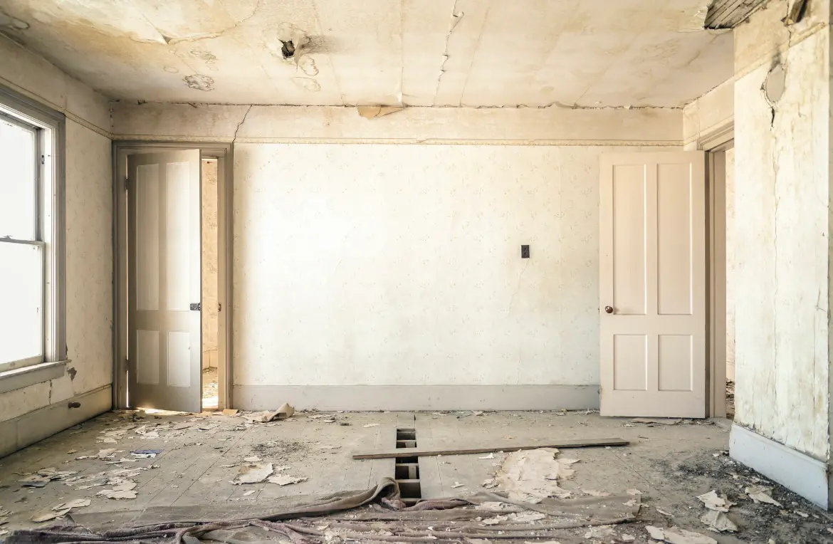 Waste disposal crew managing a cleanout project in Lake Cassidy